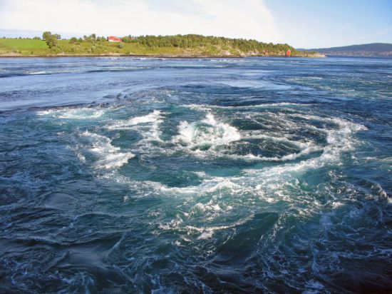 Водоворот голополосов фото