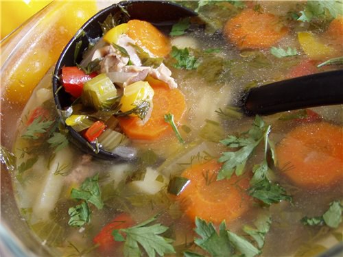 Суп с куриными потрошками классический рецепт с фото пошагово в домашних условиях