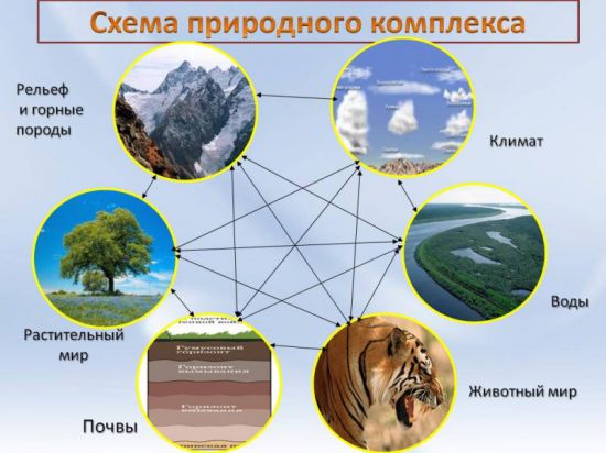 Общество в определенной мере разрушает сложившиеся естественно природные комплексы прежде всего план