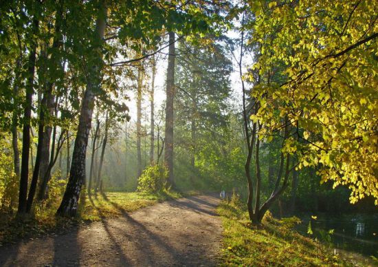 Шуваловский парк спб фото