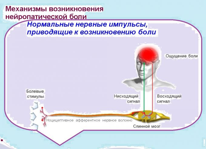 Публикация личных фото статья