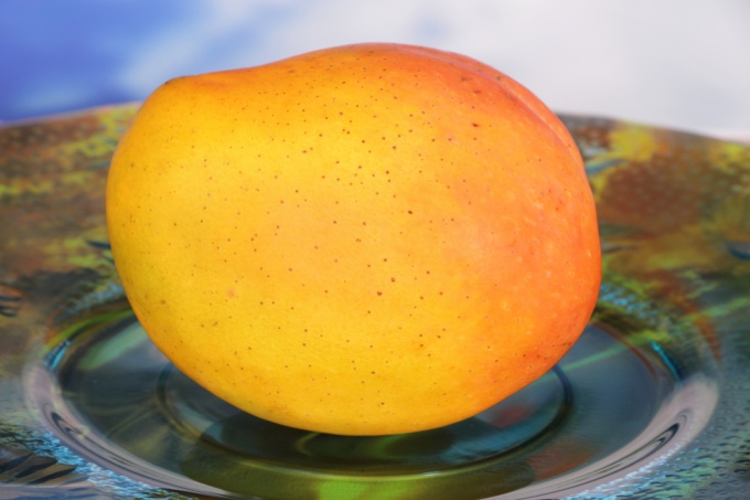 Как вырастить манго