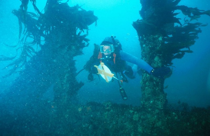 Как сделать подводную камеру