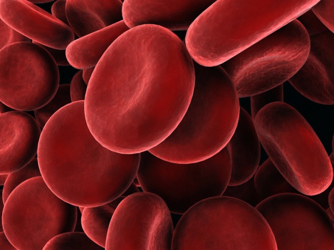 Как повысить гемоглабин в крови