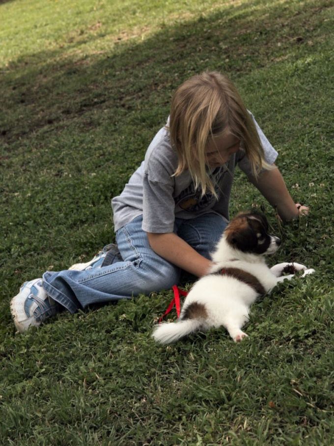 How to learn to understand animals