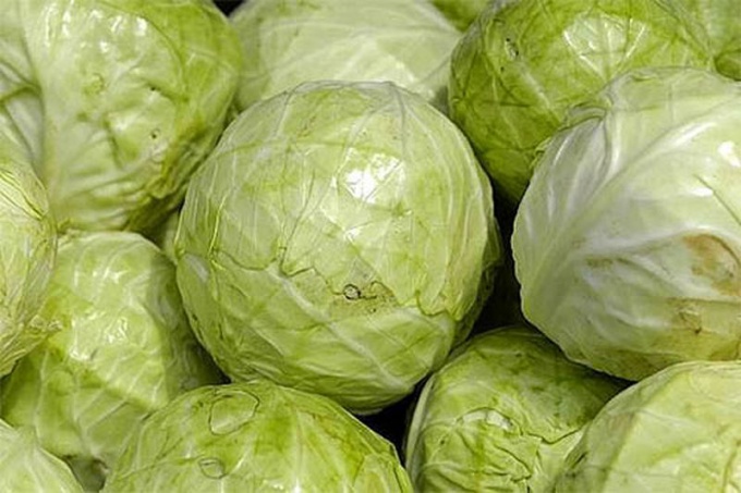 How to prepare cabbage for stuffed cabbage