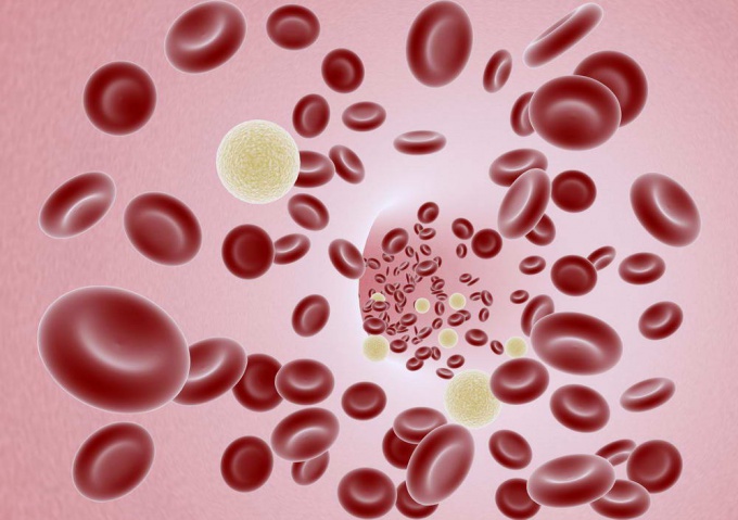 Как уменьшить вязкость крови