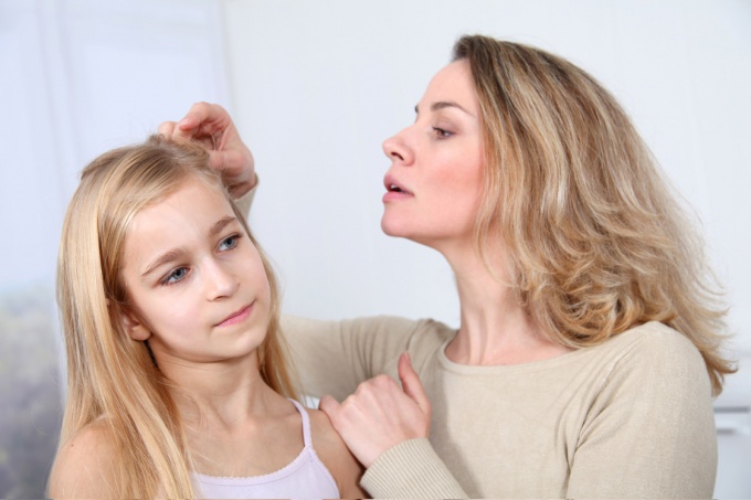 How to remove the lice with kerosene