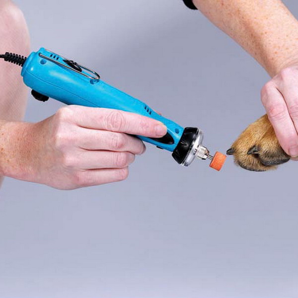 How to trim dog nails