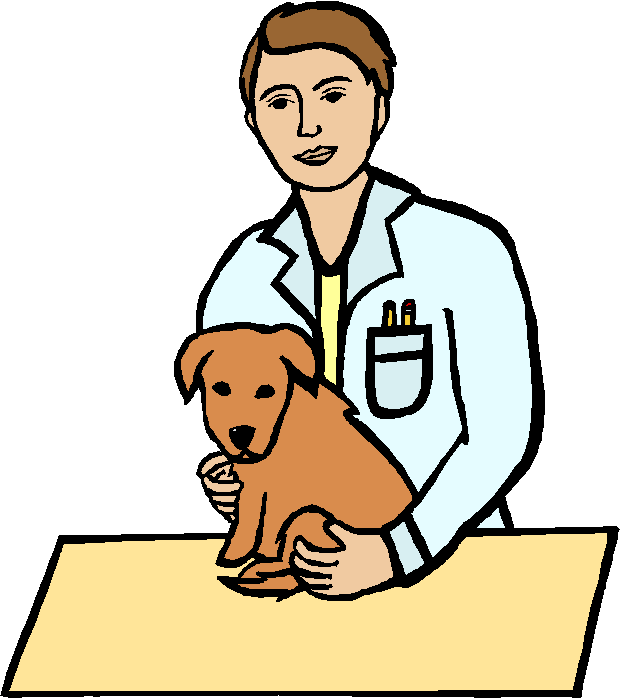 How to obtain a veterinary license
