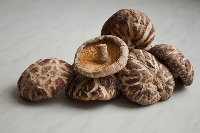 Как готовить грибы шиитаке - рецепт