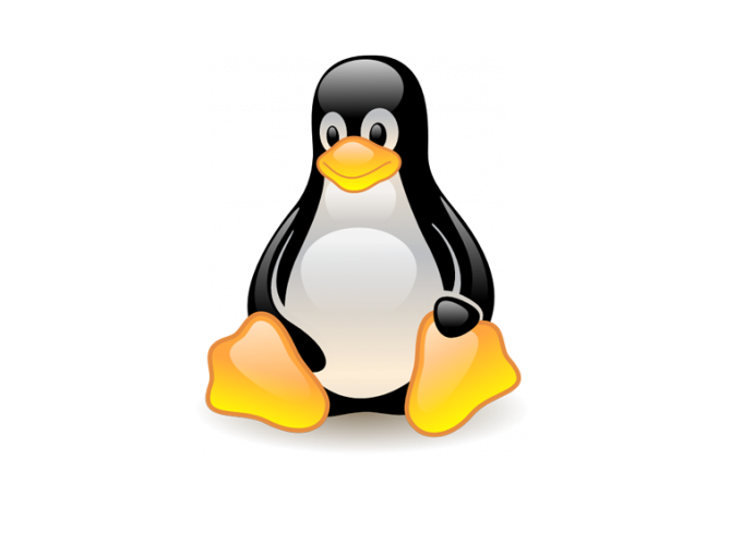 Как открыть флешку из Линукса