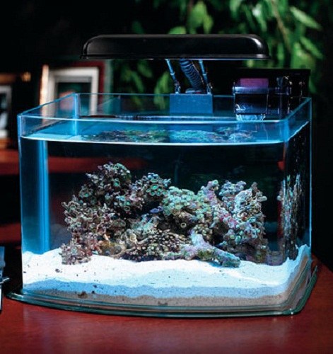 How to change the water fish in the aquarium