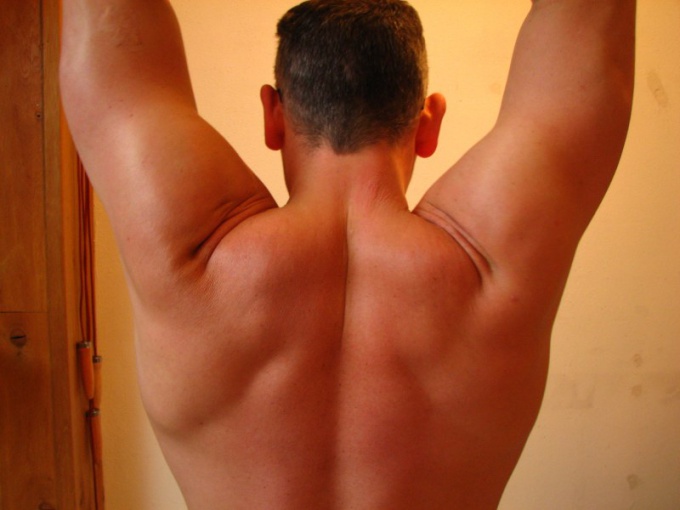 Как накачать мышцы спины и рук
