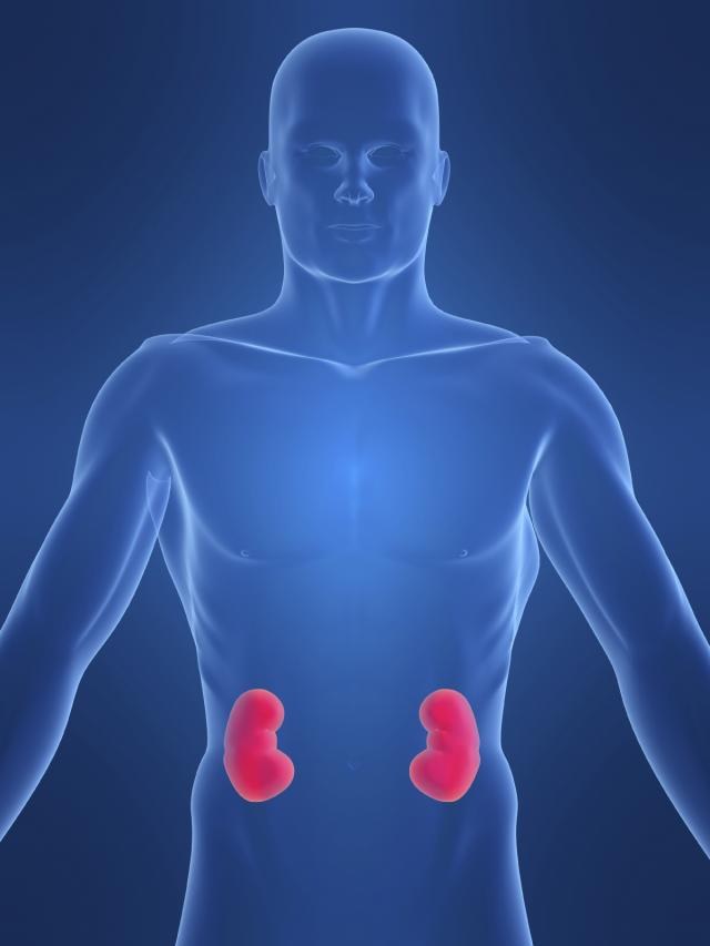 How to remove inflammation of the kidneys