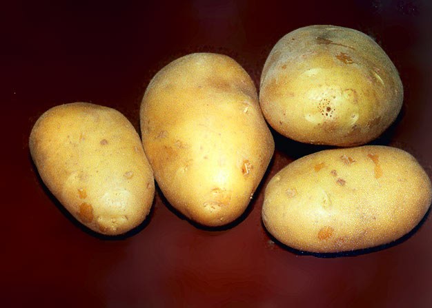 Как беречь очищенный картофель