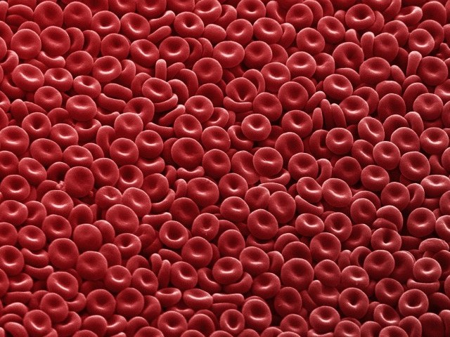 How to treat low hemoglobin