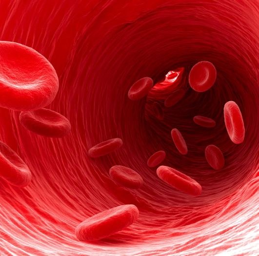 How to reduce blood viscosity