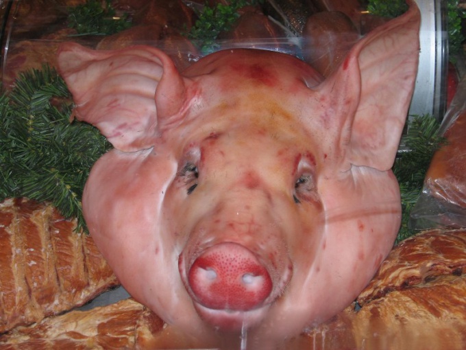 Как приготовить свиную голову