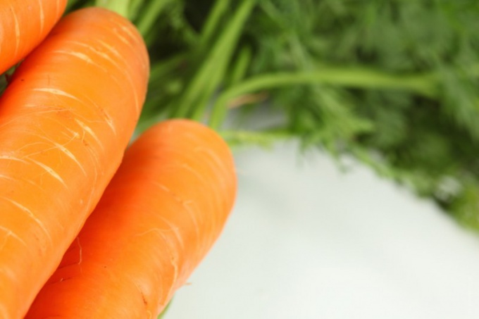 Как хранить морковь в погребе
