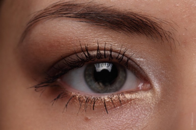 What is needed for the growth of eyelashes