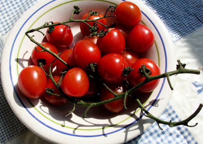 Tomatoes: how to grow your own