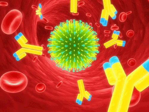 Что такое иммунитет