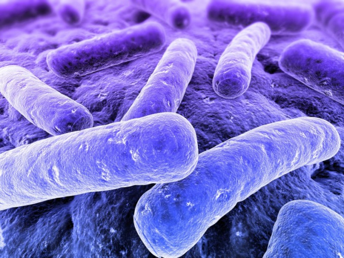 Почему бактерии считаются наиболее древними организмами