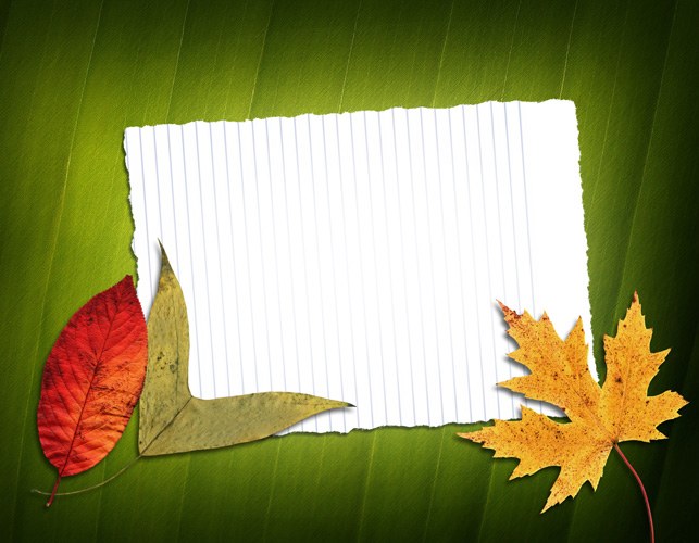 Как сделать рамку из осенних листьев в фотошоп