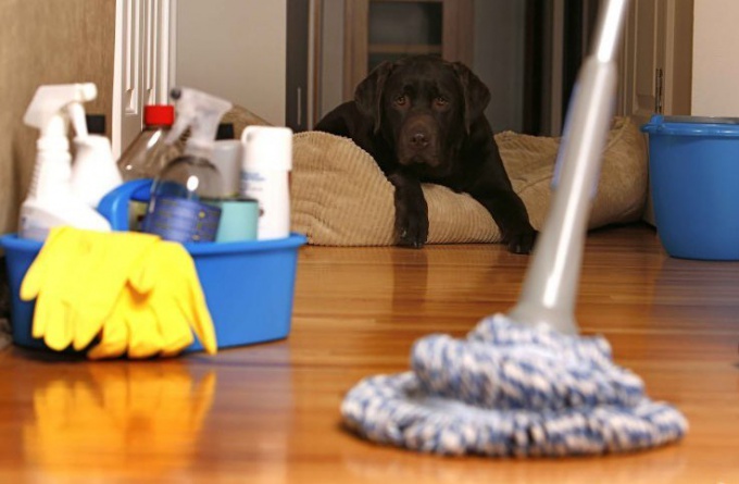 Как сделать дом чистым