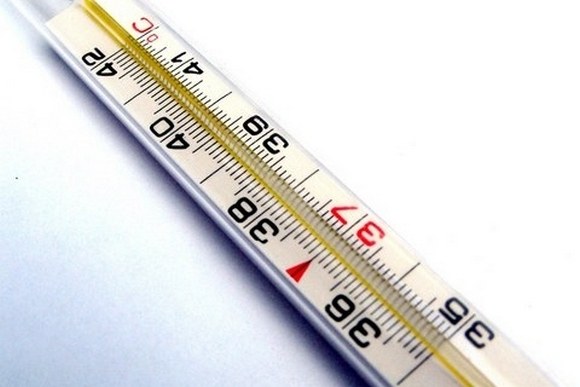 Как измерить температуру у человека