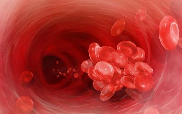 How to strengthen the walls of blood vessels