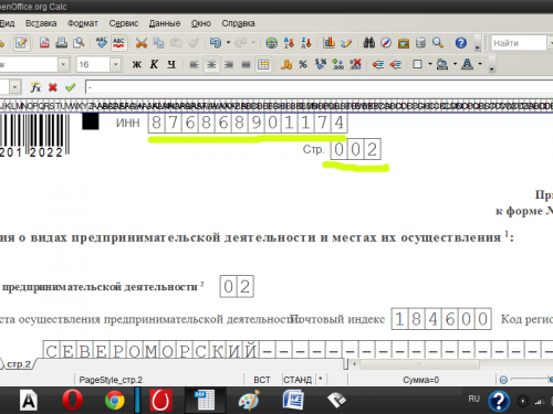 Проставьте ИНН и порядковый номер страницы