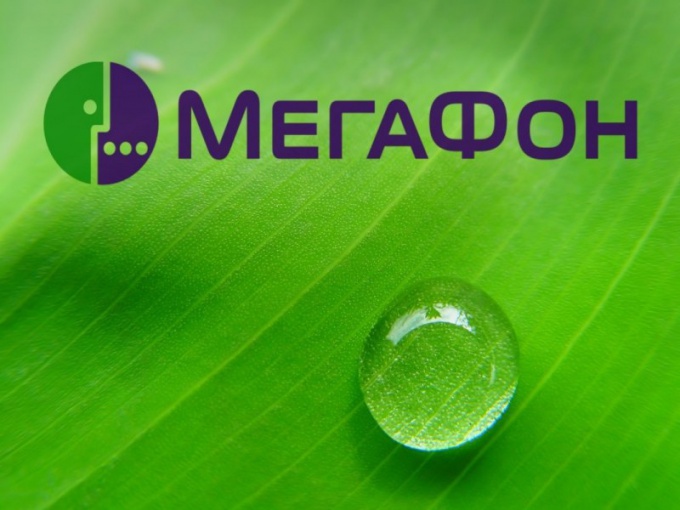 How to find the name by number of MegaFon