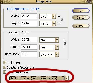 Option Bicubic Sharper when reducing the picture