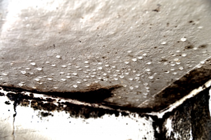 How to get rid of mold on the wall