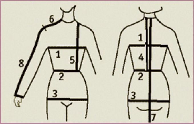 The scheme of the measurements of the female figure