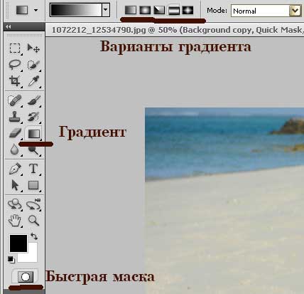 The essential tools in Photoshop