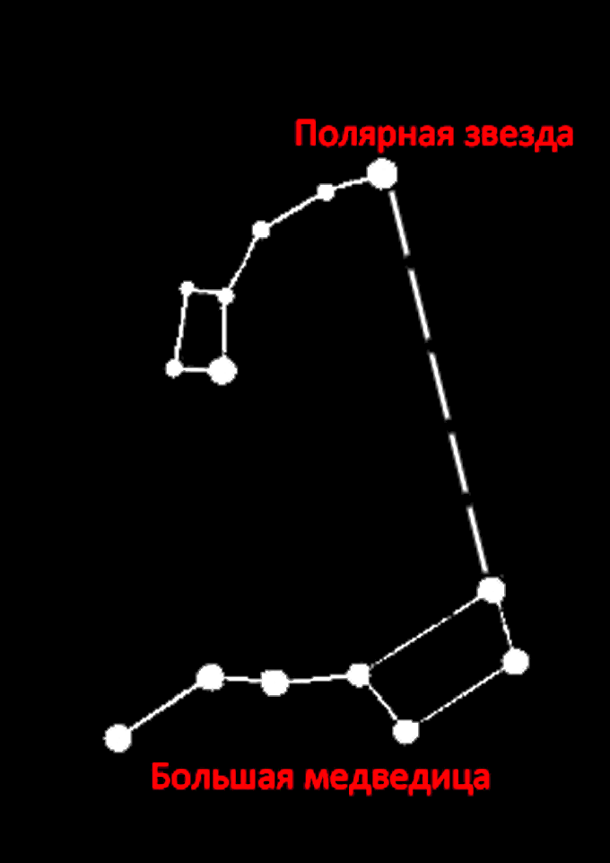 Как определить стороны света без компаса