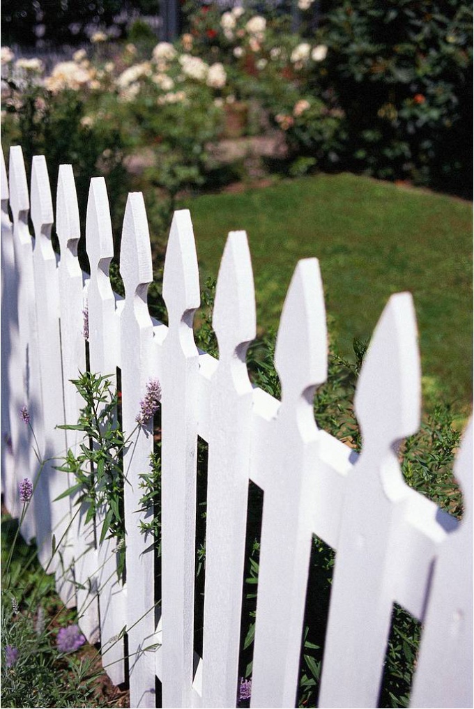 The usual fence will look on the site very cute