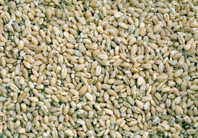 How to cook pearl barley for soup
