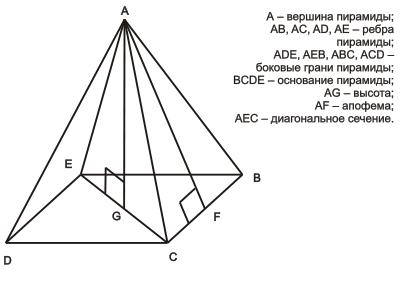 Структура пирамиды