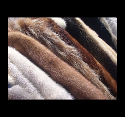How to clean a mink fur coat at home