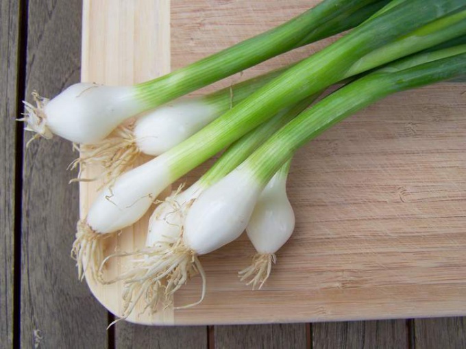 How to grow green onions