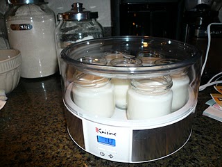 Йогуртница может иметь несколько баночек для сквашивания молока