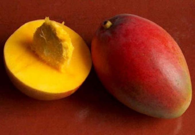 Как посадить косточку манго