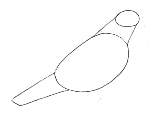 Как нарисовать <strong>голубя</strong>
