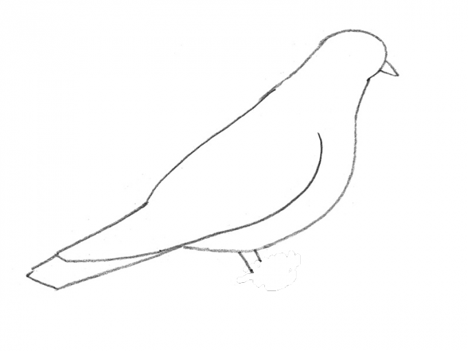 Как нарисовать <strong>голубя</strong>