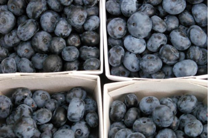 How to freeze berries