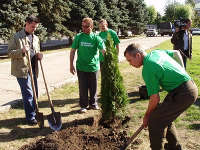 How to plant <strong>El</strong>